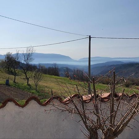 Apartment Mirella For 6 Persons Located In Central Istria Gradinje Экстерьер фото